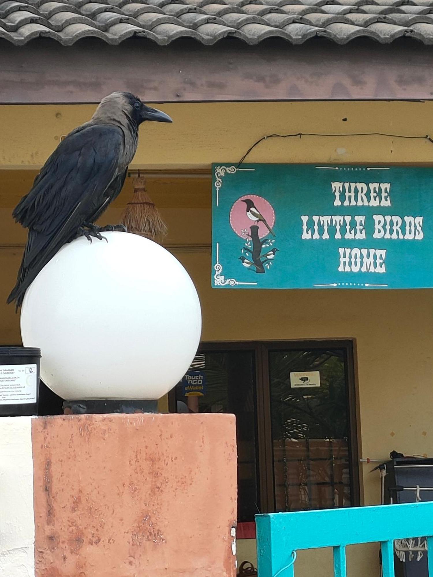 3 Little Birds Home, 100Meter To Jonkerwalk ملقا المظهر الخارجي الصورة